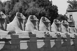Allee der Widder-Sphingen, grosser Tempel in Karnak, Ägypten